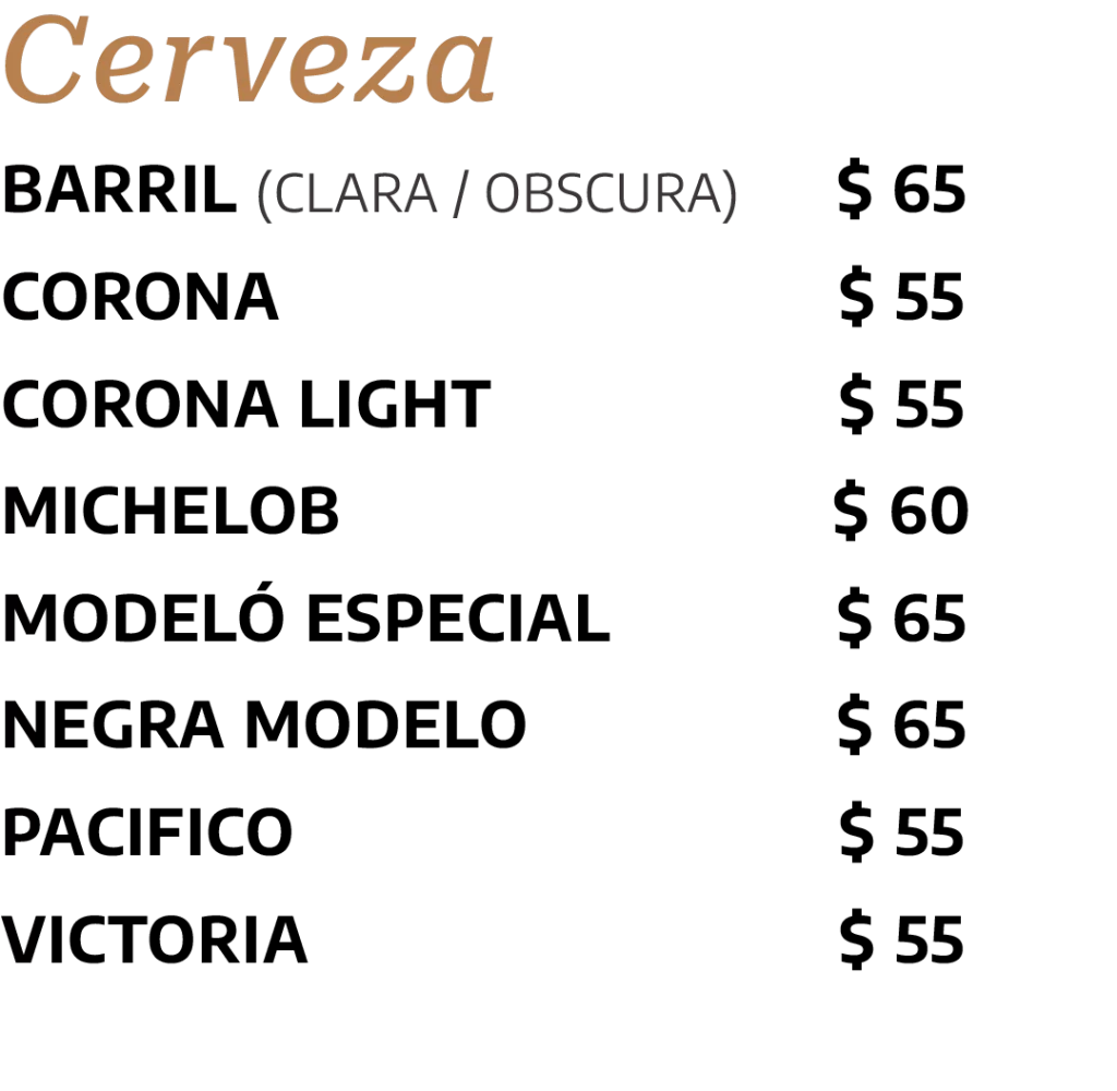 Bebidas cerveza